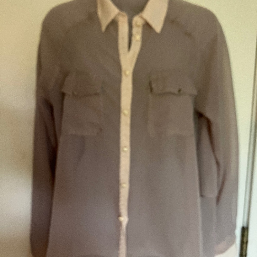 Silver Brand Sheer Taupe Blouse